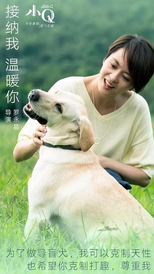 买个假的SC 驾驶执照